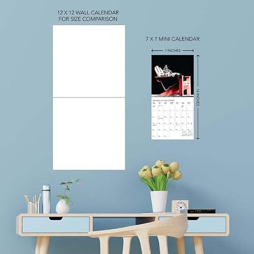 Graphique 2023 Classic Cats Mini Wall Calendar | 7” X 7” | Thick Paper | Home & Office Organizer | Large Monthly Grid | 3 Languages & Marked Holidays | 4 Month Preview Page For 2024… #TOP3