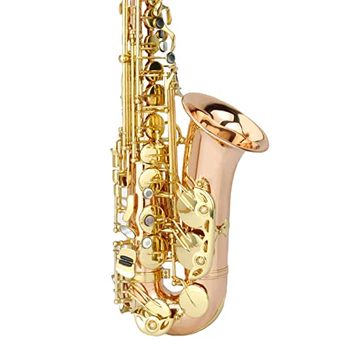 ũuY E-Flat Alto/B-Flat Saxophone Sҗp S TbNX (J[: 1)