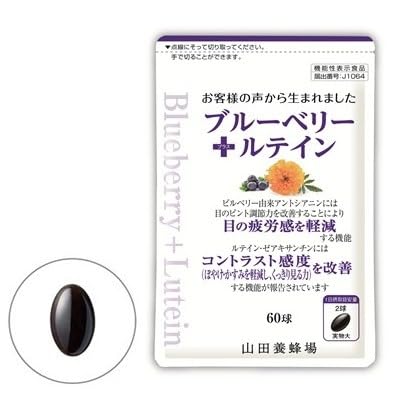 ブルーベリー+ルテイン[60球]袋入 006-a125
