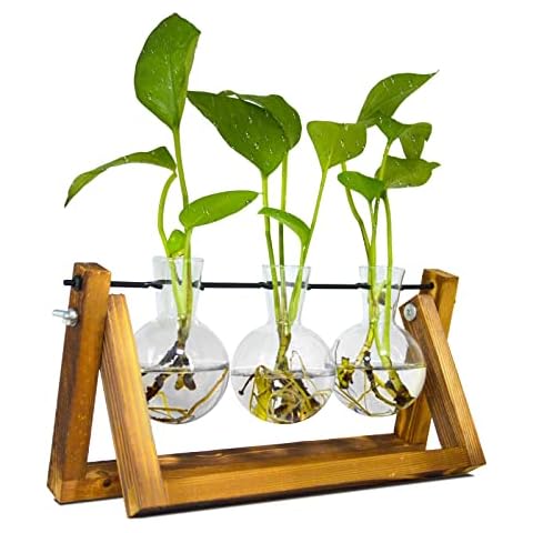 TECHSHARE Propagation Station for Plants, Terrarium for Hydroponic Plants, Plant Terrarium with Wooden Stand Decorate Office, Dining Table, Interior(3 Bulb Vase) Cover