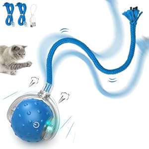 FLERDMAU Jouet Chat Interactif – Jouet pour Chat Balle Interieur – Jouet électrique Automatique pour Chat – Gazouillement – Mouvement Irrégulier & Cache-Cache