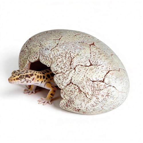 Dinosaur Egg Reptile Hide - Resin Cave for Leopard Gecko, Bearded Dragon & Small Snakes - Humid Hide, Shedding Aid & Terrarium Decor Tank Accessories (Small)