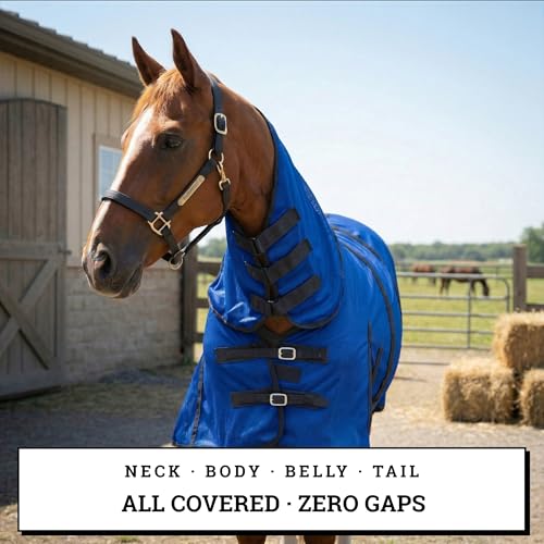 Image of Horse Fly Sheet with Attached Neck Cover & Tail Flap | UV Protection Mesh Horse Blanket, Full Body Bug & Sun Shield, Buckles, Belly Wrap & Gussets for Spring Summer Riding Rug (Royal Blue, 76 inch)