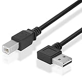 BestPlug