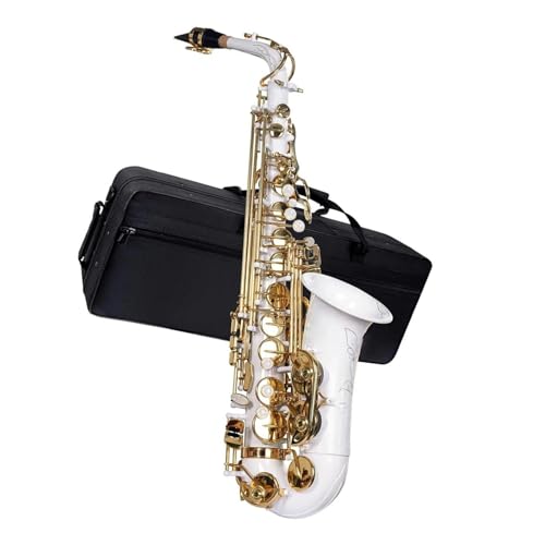 プロ仕様アルトサ�?クス アルトサ�?クス 初�?�?セ�?�? 大人用 E♭ プロ仕�? 金管楽器