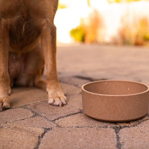 Loving Pets - Dolce Bamboo - Eco-Friendly Pet Bowls & Dishes for Dog, Cats, Puppy Food and Water Dish -Sustainable and Dishwasher Safe, Made with Real Bamboo (Large, Coffee-Brown) by Loving Pets - Image 3