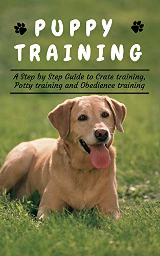 positive reinforcement potty training dog