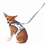 R2D2 Star Wars Harness & Leash (Large)