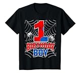 1 Year Old Boys 1st Birthday Party