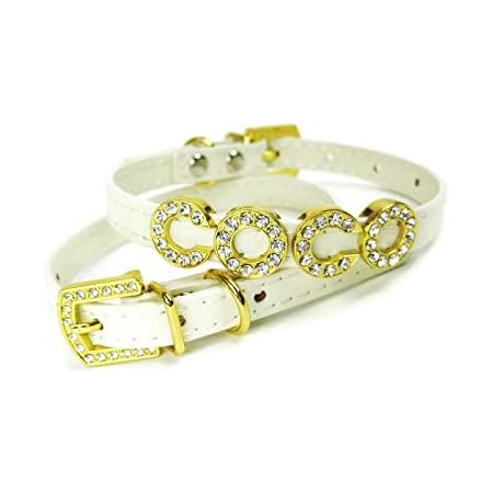 extra thin dog collar