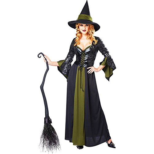 California Costumes Women's Classic Witch Long Dress, Black/Green, X-Large
