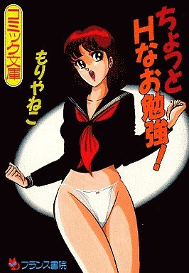 『ちょっとHなお勉強!』