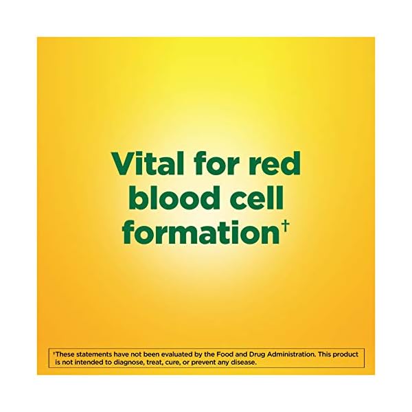 Nature-Made-Iron-65-mg-325-mg-from-Ferrous-Sulfate-Dietary-Supplement-for-Iron-Deficiency-180-Tablets-180-Day-Supply Nature Made Iron 65 mg (325 mg Ferrous Sulfate) Tablets, Dietary Supplement for Red Blood Cell Support, 180 Tablets, 180…