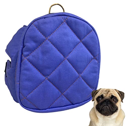 MOCHILA BOLSA PARA CÃES GATO DE PASSEIO CRECHE PET TAMANHO P LUXO (AZUL JEANS)
