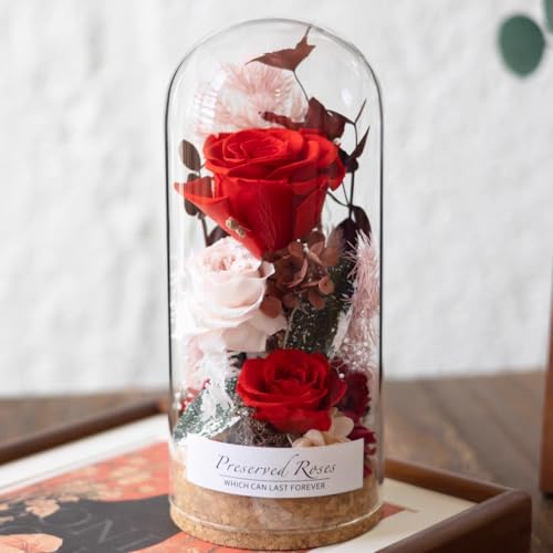 vU[uht[  lC zf[Mtg o ͂Ȃ KX|bg{bNX av[g LO o^Cf[ lւ̃v[g  ̓ LÔj VN w Əj zj ސEj (X^C B)