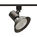 Juno Trac-Lites Flared-Gimbal Bronze Light