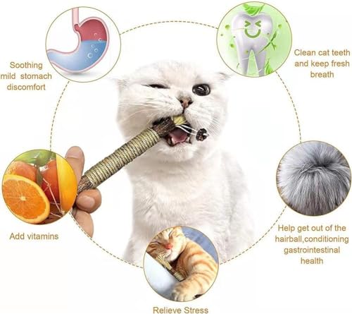 Bastões marrons Silvervine para gatos, mastigação natural de erva de gato, cuidados dentários matata
