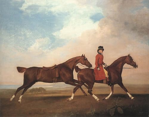 Cuadro de George Stubbs con impresión moderna de pintura al óleo clásica