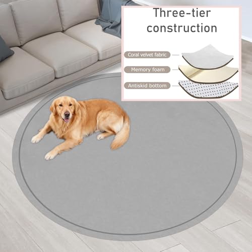 Tapis rond pour chiens bleu clair pour le salon moderne - 3