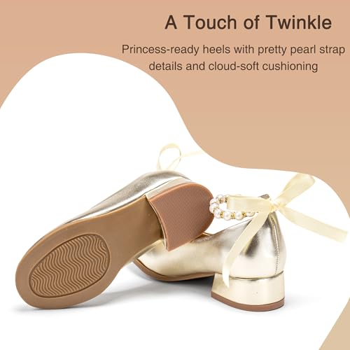Image of THEE BRON Girls Low Heel Dress Shoes Mary Jane Party Wedding Flower Girl Pumps