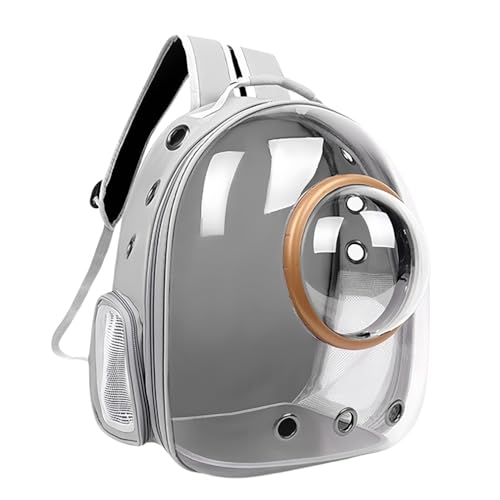 QAOVLTH ybgL[ L bN LL[obO FDJvZ^ pbht  ʋC e ϋv S Lp p bN obO sybgobO ʉ@ h pœK o U (ubN)