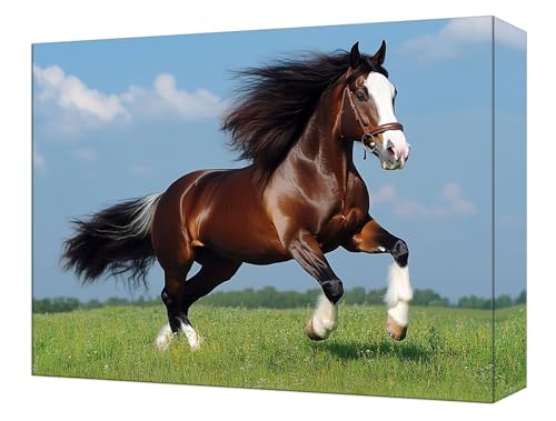 Peinture numéro adulte cheval pour décorer votre salon chaleureux