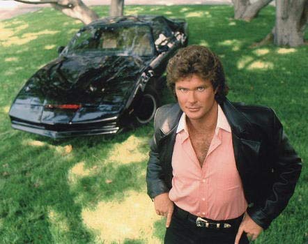 Amazon.co.jp: ブロマイド写真/デビッド・ハッセルホフ/海外ドラマ