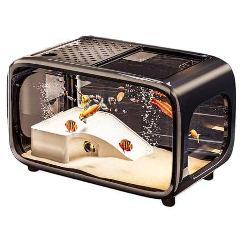 Ruying ^  ANAeE x^ _J Mы Wt NC~Ot[t ȒPa Ϗܐ gщ\ ʋCE ʊϏ CeA (ubN)