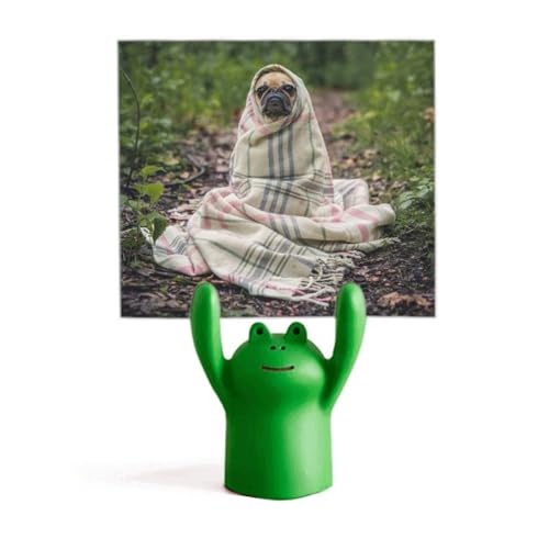 Support photographie d'animal de compagnie bouledogue et décoration mémo