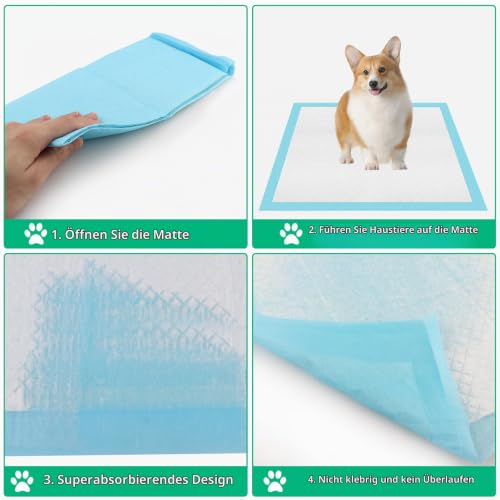 Vexillic PIPI Matten für Hunde, 40 Stück Welpen Unterlagen, 60 x 60cm Trainingspads für Hunde Hygieneunterlagen Auslaufsicher 6-Lagig mit Schnell Trocknender Oberfläche Design (40, 60 * 60 cm)