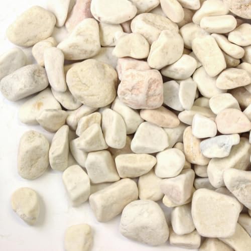 C i`}[uCg CG[ 25mm 20kg (12.5L)    