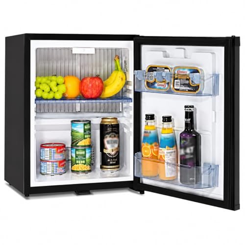 Smad Mini Fridge with Lock Locking Fridge 12V Refrigerator with key 1.0 Cubic Feet 110V for Semi Truck Bedroom Dorm Office Medical No Noise DC/AC Thermostat Control Small Black