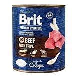 Brit
