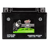 Interstate Batteries YTX9-BS 12V 8Ah Powersports Battery 130CCA AGM Rechargeable Replacement for BMW, Honda, Kawasaki Motorcycles, ATVs, Scooters (CITX9-BS)