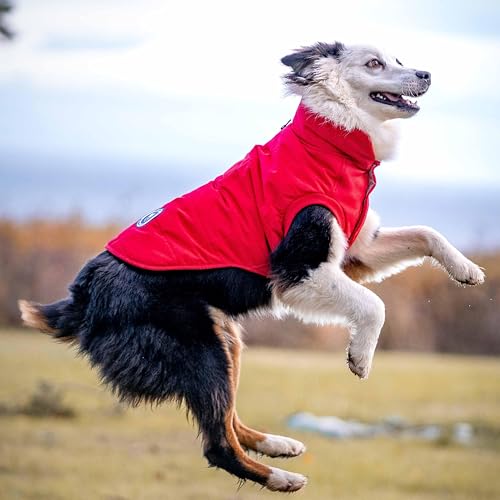 Doudoune matelassée imperméable et confortable pour chien rouge véritable 45cm - 5
