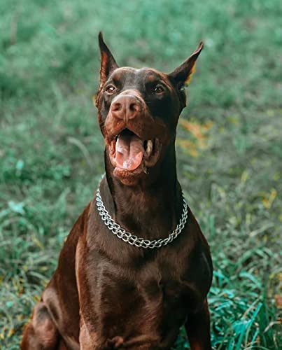 Silver Dog Chain Collar Stainless Steel Silver Dog Collar Adjustable Walking, Metal Cuban Link Dog Collar Chew Proof Double Row Chain Dog Collar For Large Small Medium Dogs #TOP3
