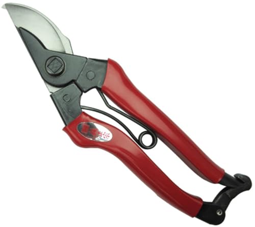 gn쏊 No.701  ΂ SNbVt ؂nی@\̗p Sgē(nElWE)ŋx