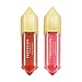 Profusion Cosmetics Lip Bouquet Velvet Matte Duo- Apply Directly to Lips with this Soft Matte Finish Nourishing Duo for a Perfect Pout