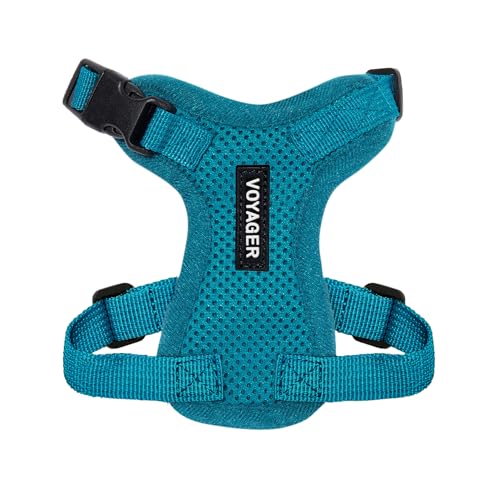 Voyager Step-in Lock Pet Harness - All Weather Mesh, Adjustable Step in Harness for Cats and Dogs by Best Pet Supplies - Turquoise, XXXS