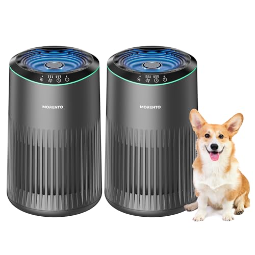Air Purifiers for Bedroom Home with Sleep Mode for Smoke Pet Dander Odors, Small Air Purifier with Fragrance Sponge, Blue Ambient Light, 23dB Quiet, 2 Pack Grey