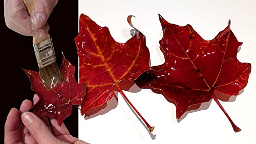 Xtc-3D - High Performance 3D Print Coating - 24 Ounce Unit #TOP4