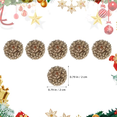 BESPORTBLE 100 piezas Cáscaras de Bellota Natural para Manualidades miniatura 5