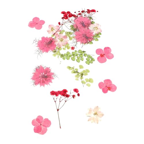 30 piezas flores prensadas secas para manualidades miniatura 1