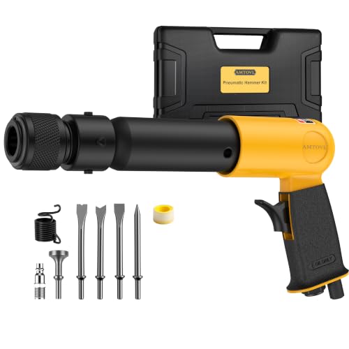 AMTOVL Air Hammer - 250mm with Qick Change Retainer and 5PCS Chisels