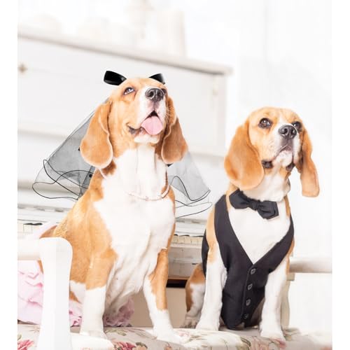 Velo de boda para perro accesorio de disfraz miniatura 6