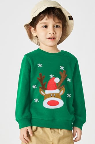 DDSOL Toddler Little Boy Girl Christmas Sweatshirt Kid Xmas Ugly Reindeer Santa Dinosaur Shirt Clothes Long Sleeve Tee Top3
