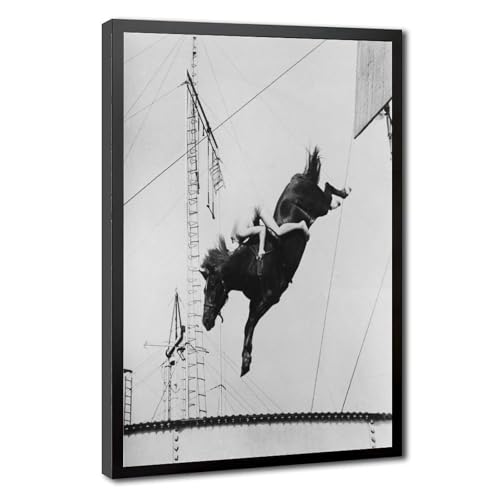 Impression sur toile cheval noir et blanc 40x61 cm pour deco murale salon