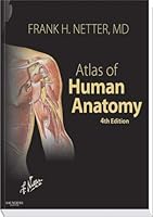 Atlas of Human Anatomy by Netter MD, Frank H.. (Saunders,2006) [Paperback] 4th Edition B00E2RHIFW Book Cover