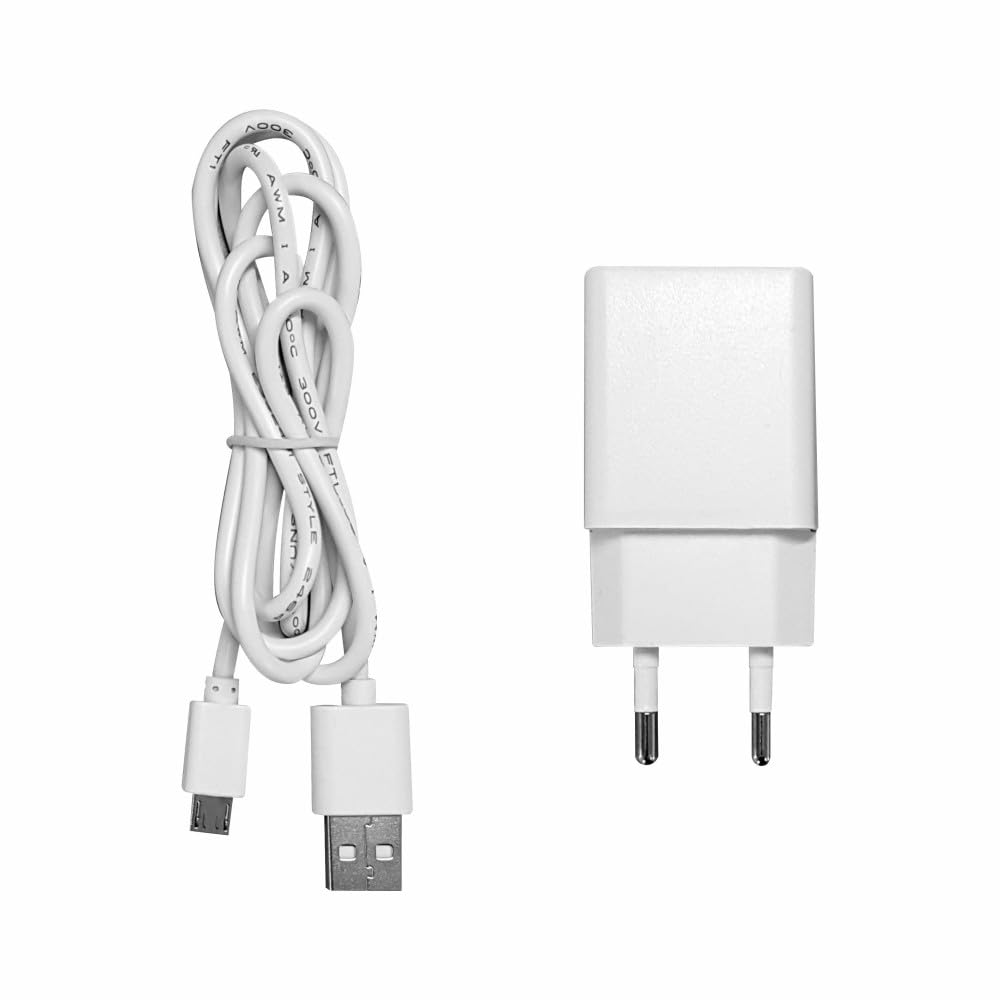 Beneito Faure Lanterna Visor Corten da Esterno IP65 - Lampada da Tavolo a Led in Alluminio a Batteria 5W 120° flusso luminoso di 460 lumen fino a 25h di Autonomia Codice 3931