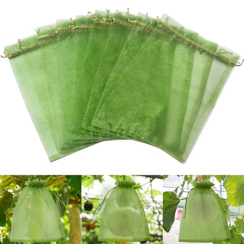 LINSOCLE Bolsas para Uvas en Parra 30x40cm, 50 Piezas Bolsas Uvas Proteccion, Bolsa de Protección de Frutas de Organza Grandes para Proteger Los Racimos de Uva de Avispones y Antipajaros(verde oscuro)